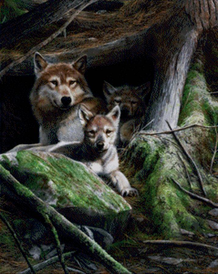 Серия "Волки" - пейзаж, животные, волки - предпросмотр