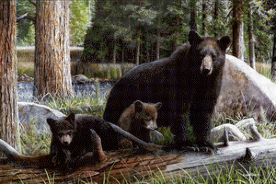 Серия "Медведи" - медведи, пейзаж, лес, животные, лето - предпросмотр