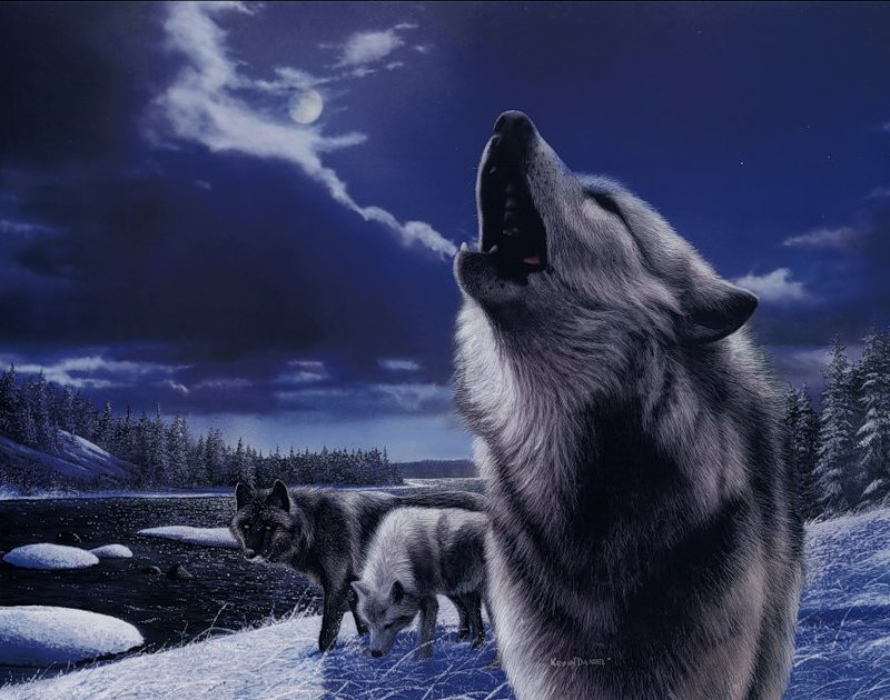 Серия "Волки" - пейзаж, снег, волки, животные, зима - оригинал