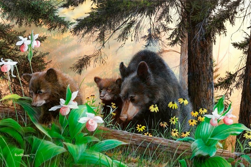 Серия "Медведи" - животные, пейзаж, лето, лес, медведи - оригинал