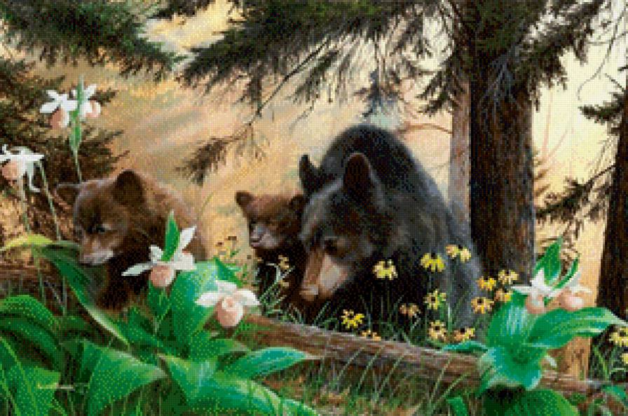 Серия "Медведи" - пейзаж, лето, животные, лес, медведи - предпросмотр