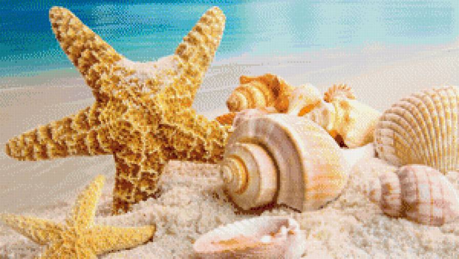 Морская звезда с ракушками - морской пейзаж, море, ракушки - предпросмотр