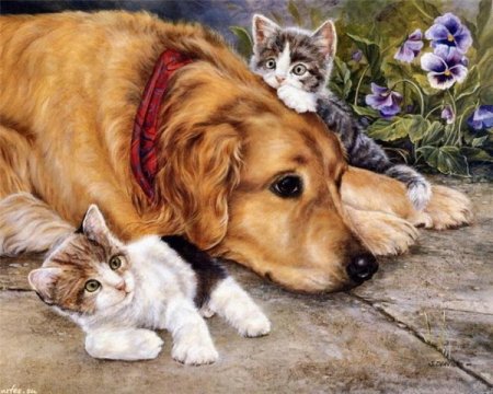 Кошачья мама - животные, собаки, коты - оригинал