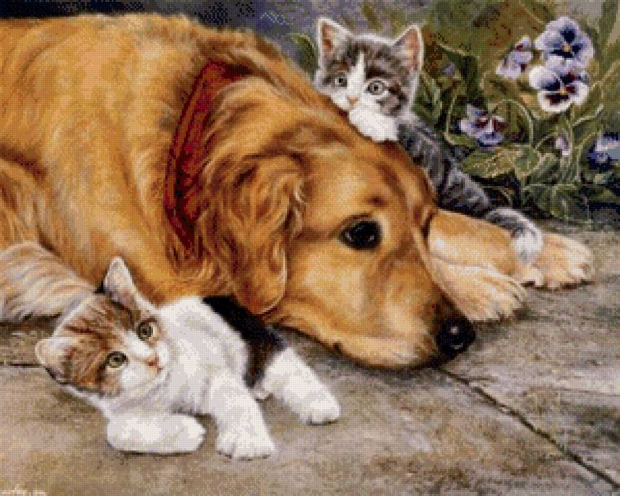 Кошачья мама - собаки, животные, коты - предпросмотр