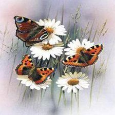 Оригинал схемы вышивки «Ромашки и бабочки» (№508649)