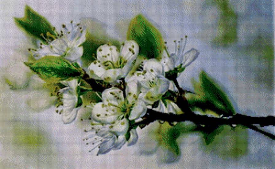 яблоневый цвет - цветы, ветка, живопись, весна - предпросмотр