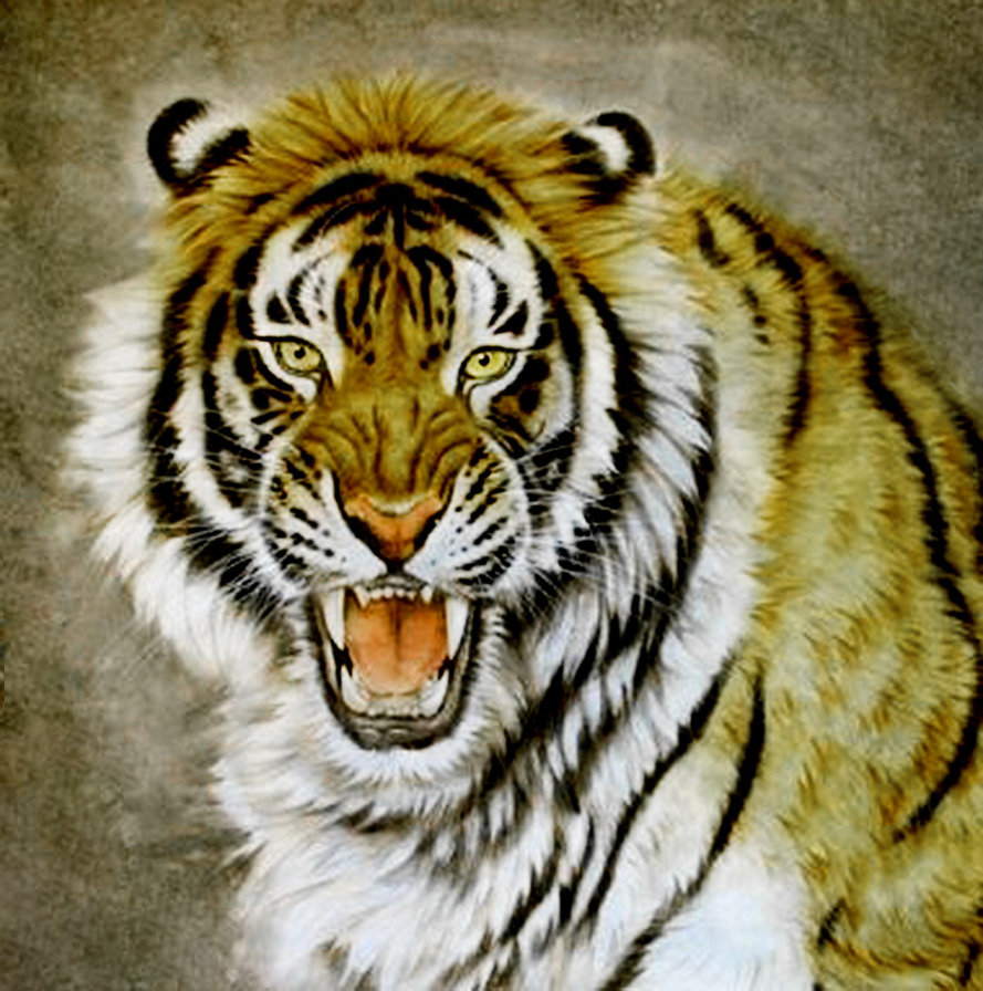 плохое настроение - хищник, живопись, оскал, взгляд, тигр, рык - оригинал