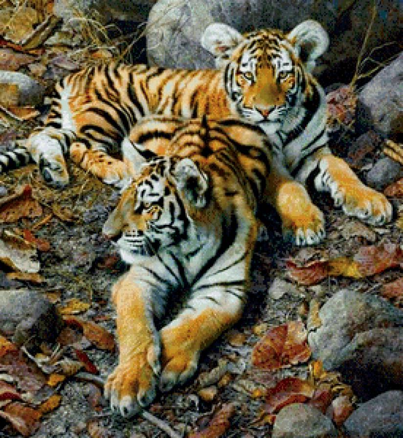 тигрята - пара, осень, хищник, камень, живопись, природа, тигр, листья - предпросмотр