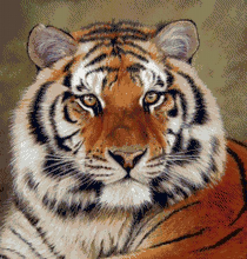 тигр - большие кошки, животные, тигры - предпросмотр