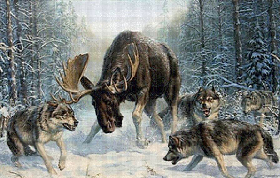 встреча в лесу - зима, лес, встреча.звери, лось, волки, снег, животные, охота - предпросмотр