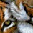 Предпросмотр схемы вышивки «Тигры» (№509638)