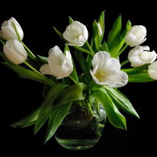 Оригинал схемы вышивки «тюльпаны в вазе» (№509727)