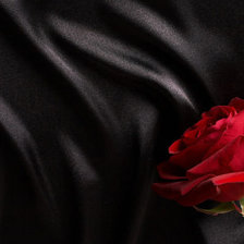 Оригинал схемы вышивки «роза» (№509733)