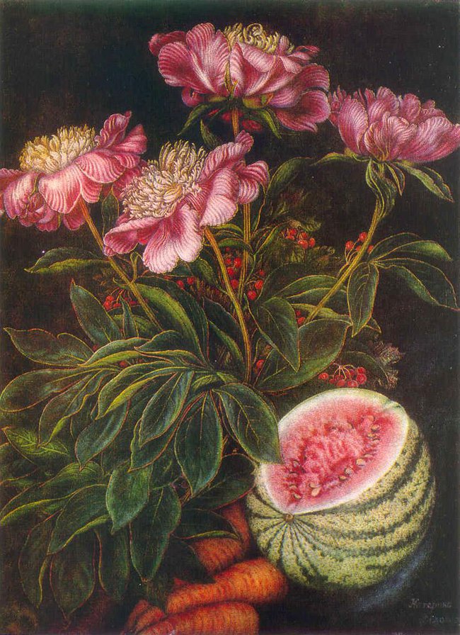 Натюрморт с арбузом - арбуз, цветы, пионы, натюрморт - оригинал