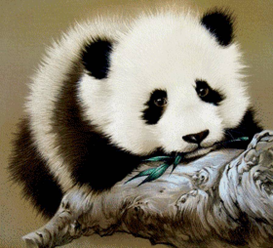 маленький очаровашка - животное, малыш, медведь, панда, живопись - предпросмотр