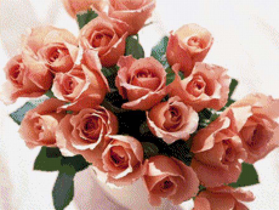 Букет красных роз - розы, цветы, букет - предпросмотр