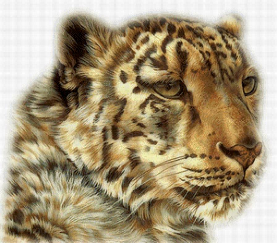 леопард портрет - предпросмотр