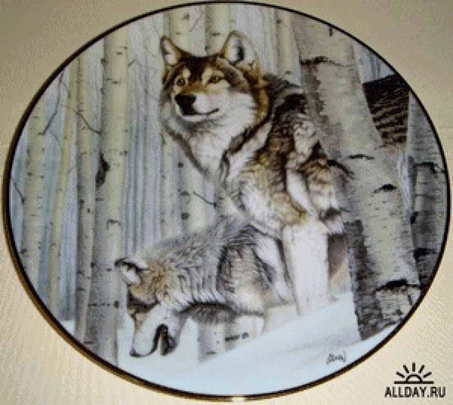 Волки в березовой роще - зима, пейзаж, волки, снег, животные - предпросмотр