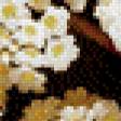Предпросмотр схемы вышивки «белые цветы» (№511384)