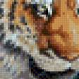 Предпросмотр схемы вышивки «тигр» (№511403)