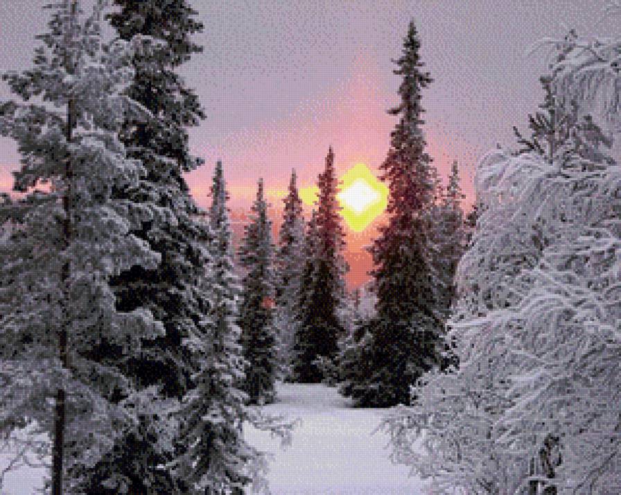 мороз и солнце - снег, пейзаж, зима, лес, ели, рассвет, природа - предпросмотр