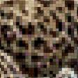 Предпросмотр схемы вышивки «леопард» (№511721)