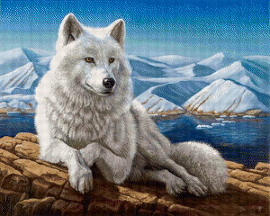 Белый волк - животные, волк, вода - предпросмотр