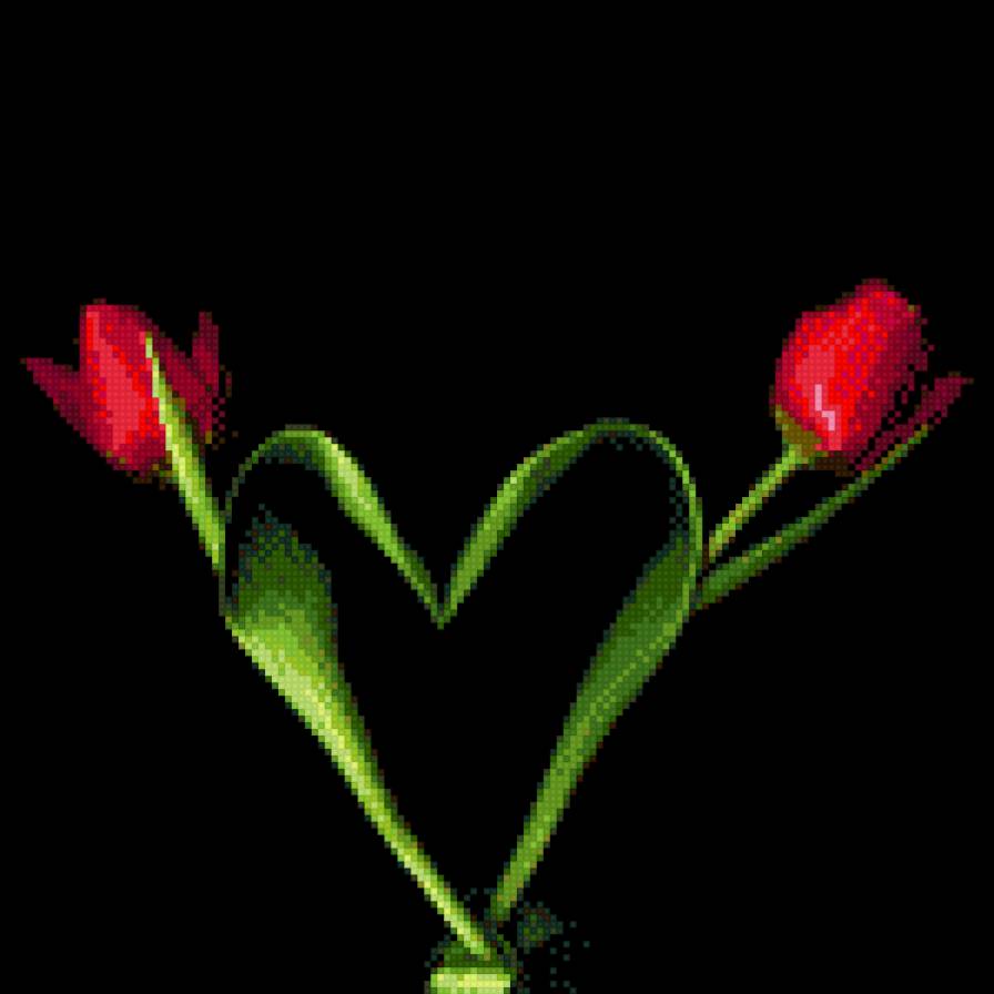 Валентинка - любовь, цветы, сердце, тюльраны - предпросмотр