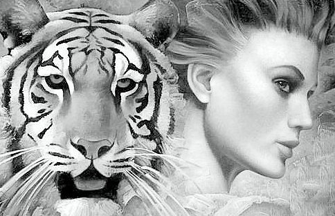 Дама с тигром - монохром, женщина, животные, тигры, люди, девушка, большие кошки, дама - оригинал