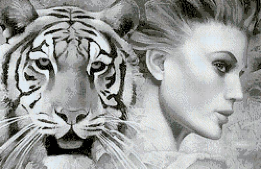 Дама с тигром - монохром, люди, девушка, большие кошки, тигры, женщина, дама, животные - предпросмотр