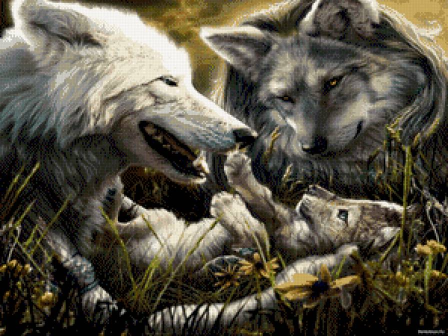Волчья семья - волки - предпросмотр