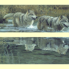 Волки диптих общий вид