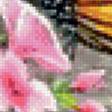 Предпросмотр схемы вышивки «Цветы и бабочки» (№512268)