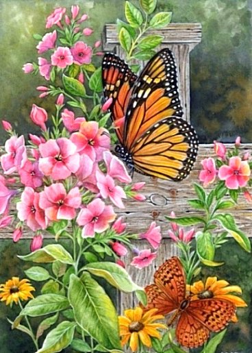 Цветы и бабочки - лето, цветы, бабочки - оригинал