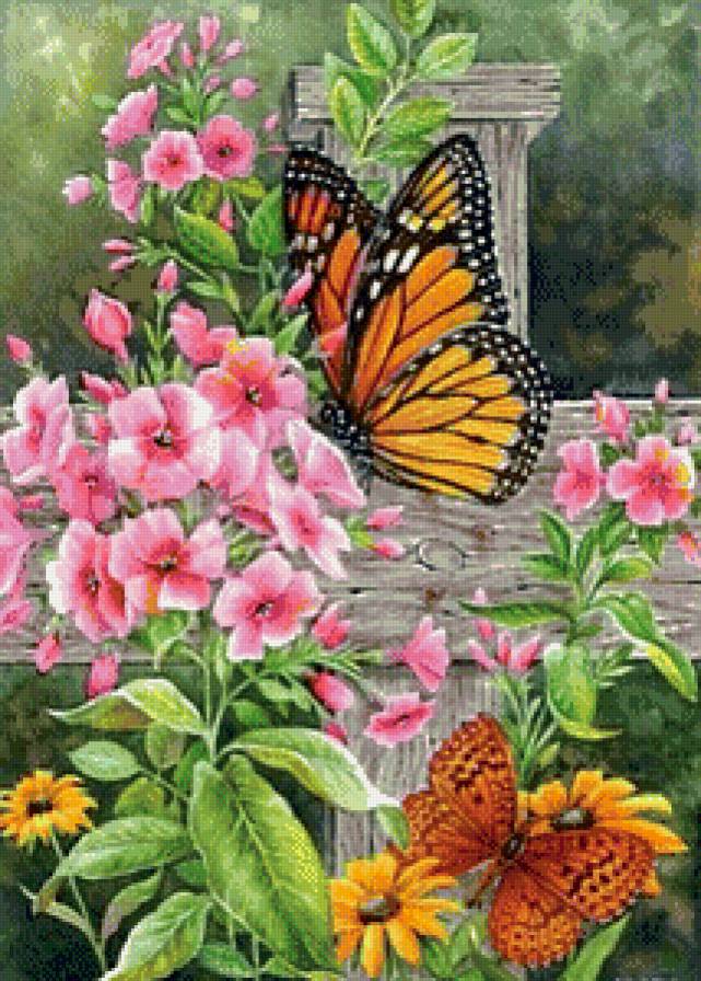 Цветы и бабочки - бабочки, лето, цветы - предпросмотр