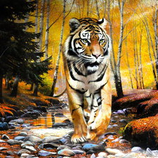 Оригинал схемы вышивки «тигр - символ величия и мощи» (№512620)