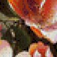 Предпросмотр схемы вышивки «Луговые цветы-художник Mary Dipnall» (№512758)