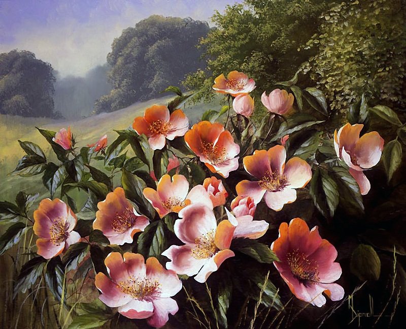 Луговые цветы-художник Mary Dipnall - природа, живопись, цветы - оригинал