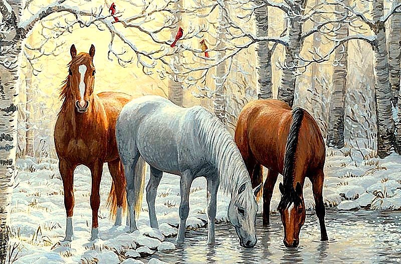 Лошади на водопое - лошади, лес, зима, пейзаж, животные - оригинал