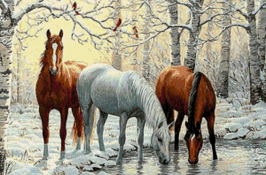 Лошади на водопое - животные, лошади, пейзаж, зима, лес - предпросмотр