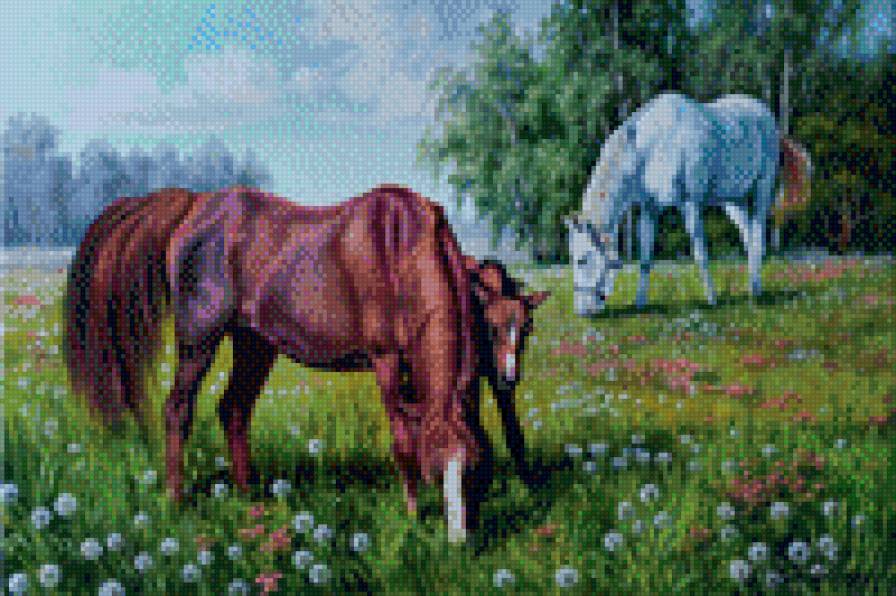 0172 - картина, лето, лошадь, природа, кони, красота, животные - предпросмотр