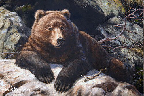 медведь - медведь, природа, звери, бурый медведь, мишка, лес, дикие животные - оригинал