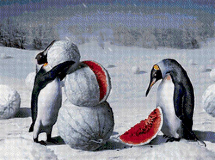 рождество на полюсе - арбуз, рождество, новый год, праздник.пингвины, снег, снеговик, полюс - предпросмотр