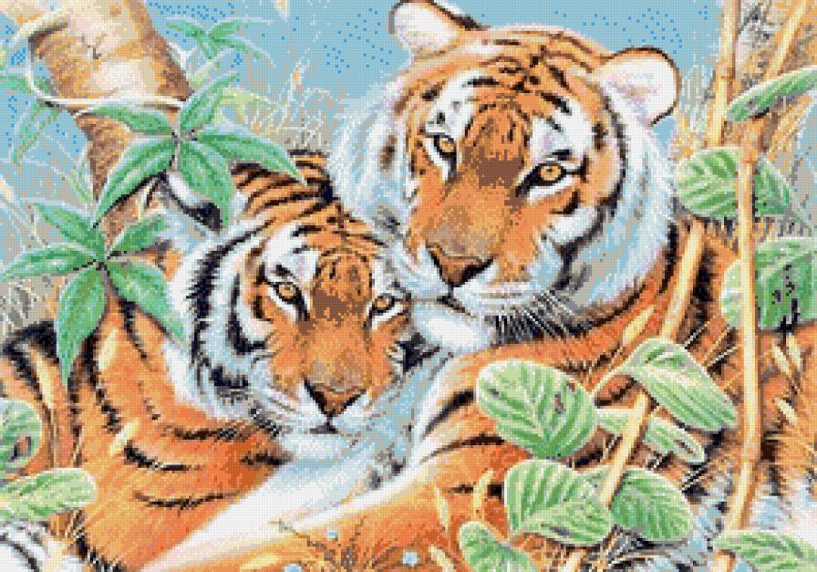Тигры - большие кошки, пара, животные, тигры - предпросмотр