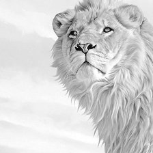 Оригинал схемы вышивки «Царь зверей-лев» (№513458)