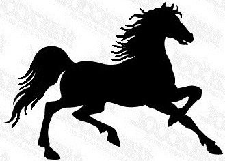 лошадь 2 - животные, черно-белое, лошадь, конь, звери - оригинал