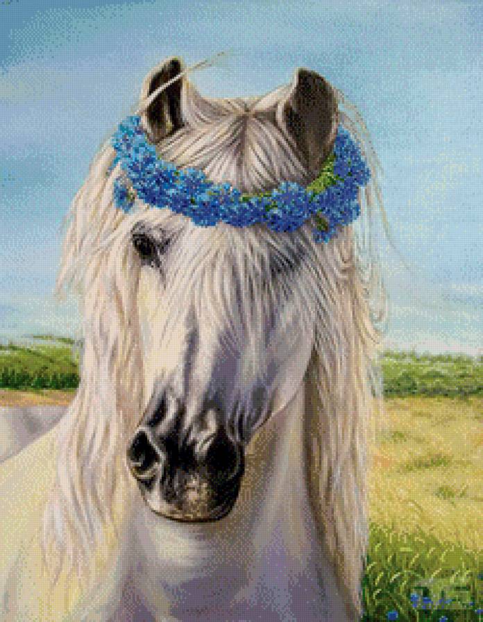 Васильковый венок - цветы, животные, кони, лошади, васильки - предпросмотр