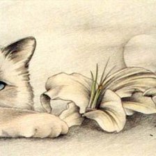 Котик с лилиями