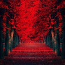Схема вышивки «красный лес»