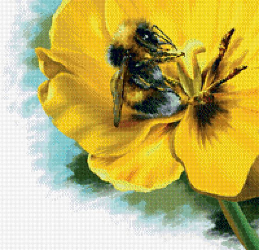 Пчелка - насекомые, цветы - предпросмотр